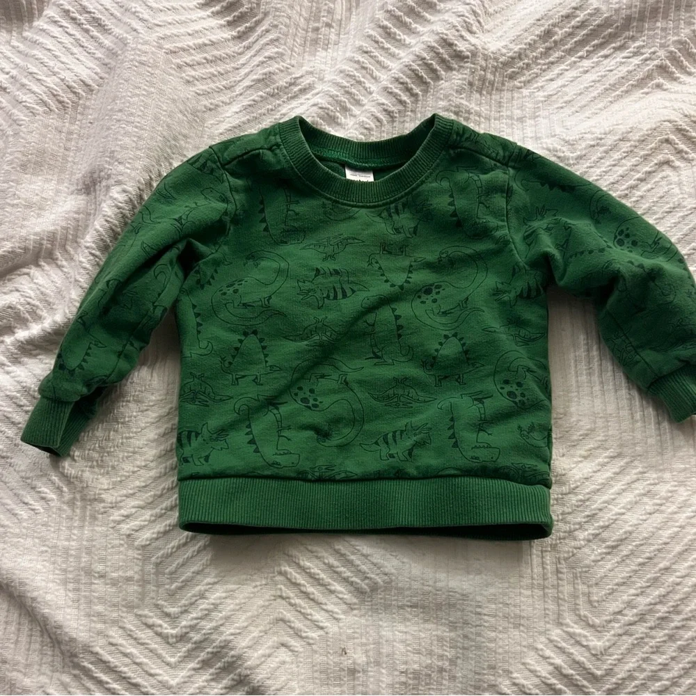 Carter’s Crewneck Sweatshirt Toddler 18 months‎ Dinosaurs Green GUC